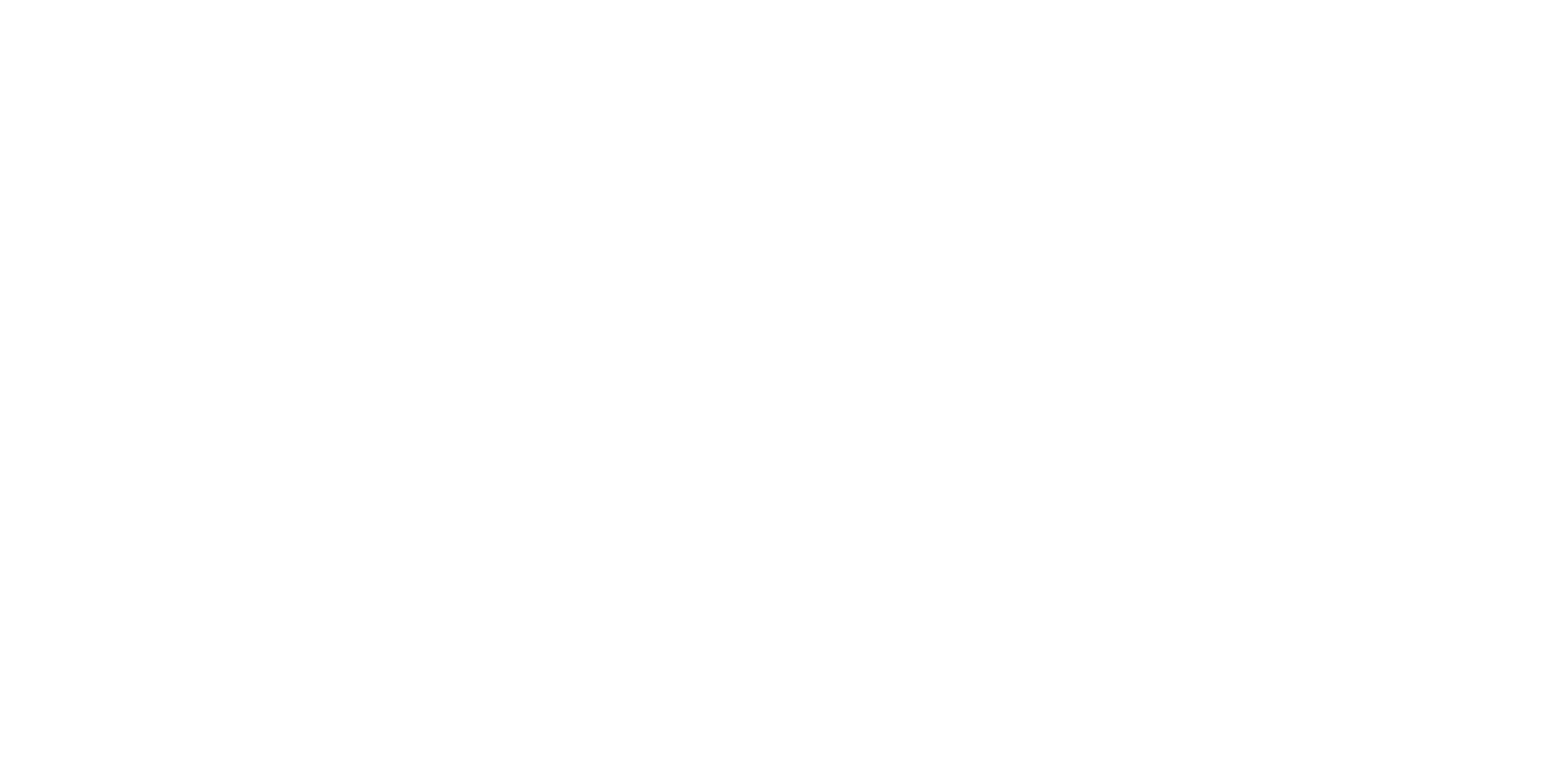 Sellmer Solutions Logo